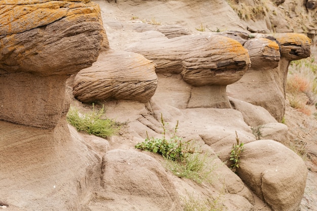 Erosione eolica delle rocce