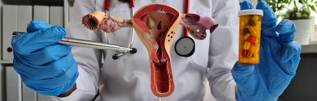 Esame ginecologico dell'utero e trattamento dell'infertilità