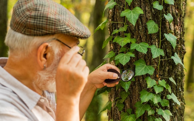 Esaminare con la lente d'ingrandimento Messa a fuoco selettiva della lente d'ingrandimento Il vecchio guarda le foglie con la lente d'ingrandimento Esplorare con la lente d'ingrandimento Ingrandimento e indagine Osservazione della natura