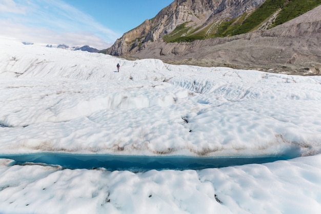 Escursione in Alaska in estate