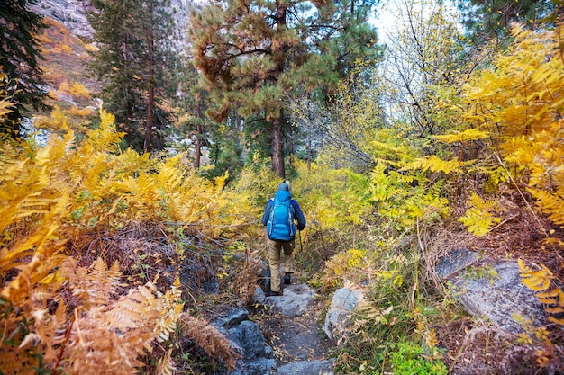 Escursione in montagna autunnale