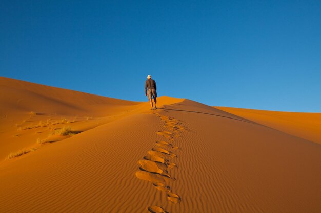 Escursione nel deserto