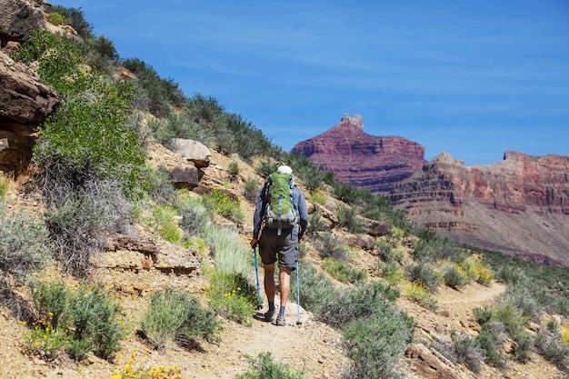 Escursione nel Grand Canyon