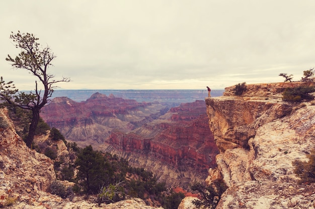 Escursione nel Parco Nazionale del Grand Canyon