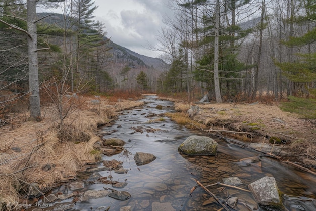 Escursione nella Keene Valley fino al Monte Marcy nelle Adirondacks