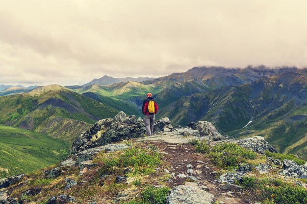 Escursione nella tundra polare