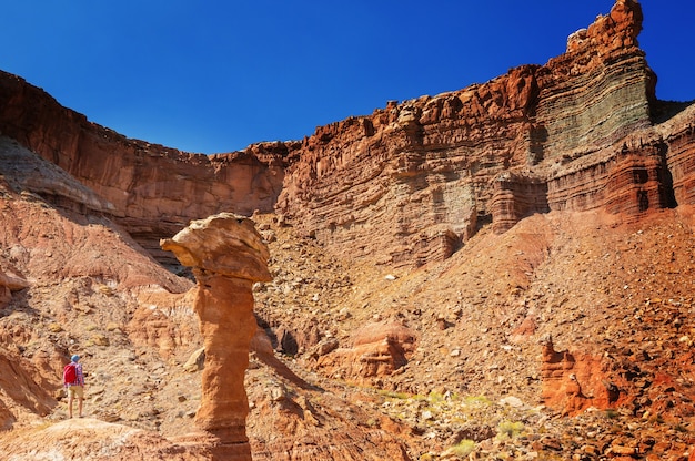 Escursione nelle montagne dello Utah. Escursioni in paesaggi naturali insoliti. Fantastiche formazioni di arenaria.