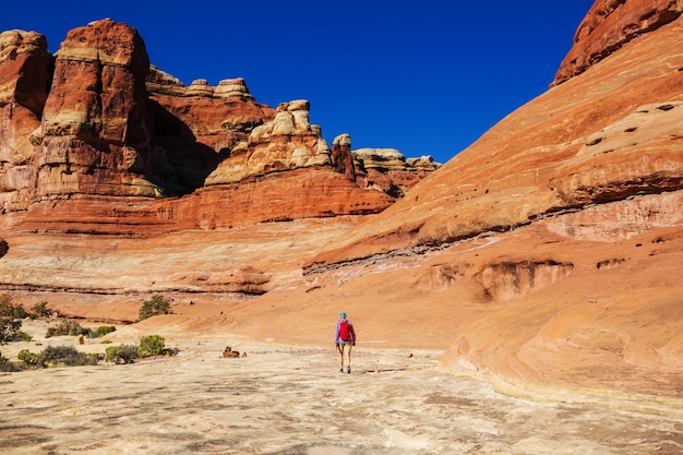 Escursione nelle montagne dello Utah. Escursioni in paesaggi naturali insoliti. Fantastiche formazioni di arenaria.