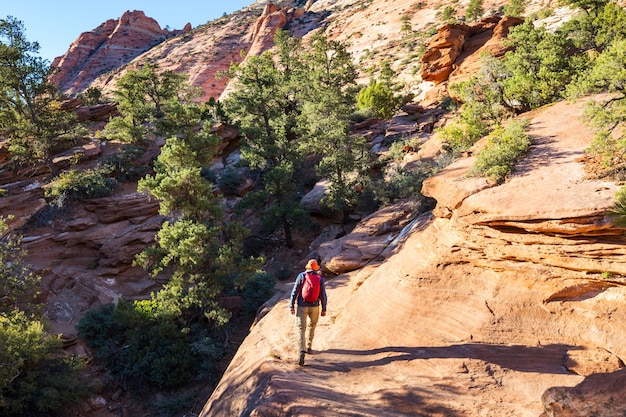 Escursione nelle montagne dello Utah. Escursioni in paesaggi naturali insoliti. Fantastiche formazioni di arenaria.