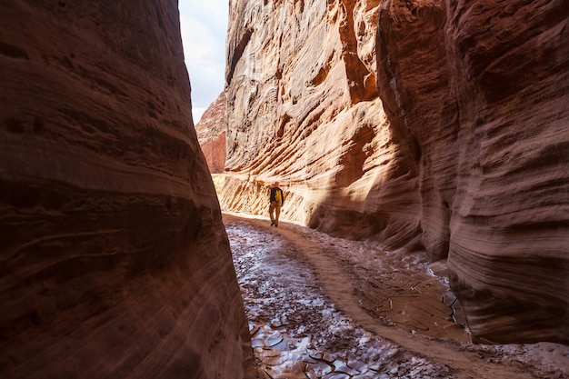 Escursione nelle montagne dello Utah