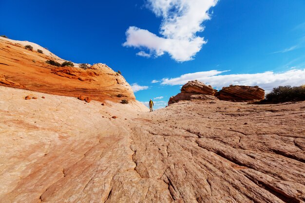 Escursione nelle montagne dello Utah