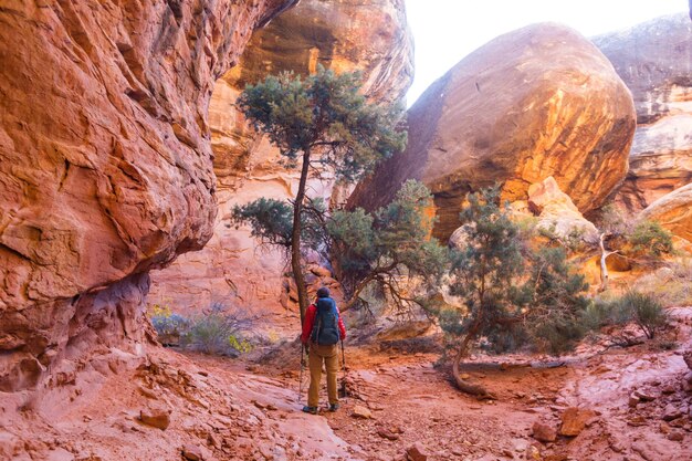 Escursione sulle montagne dello Utah