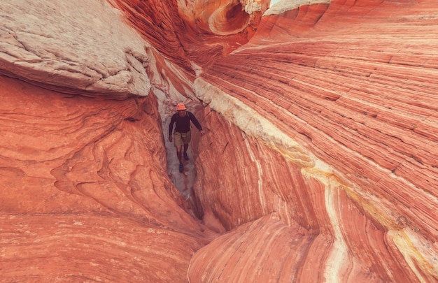 Escursione sulle montagne dello Utah