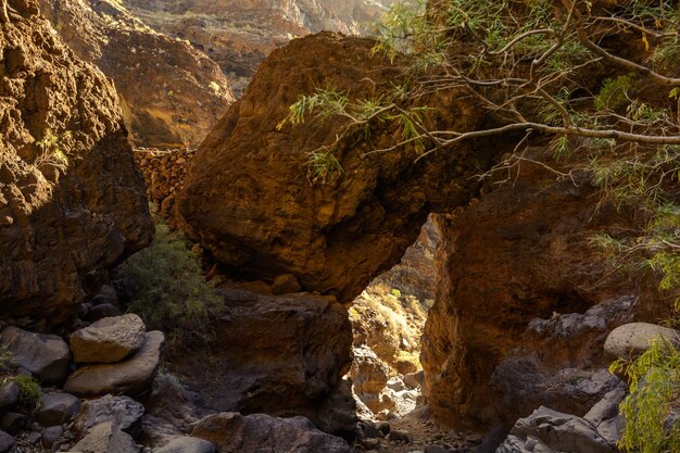 Escursioni in Gola Masca. enormi massi coprono il sentiero dell'isola vulcanica. Montagne dell'isola di Tenerife.