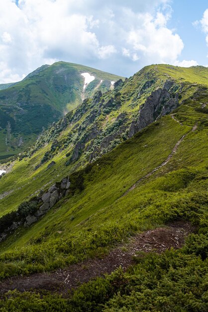 Escursioni in montagna. Bella vista sulle montagne. Boschi di conifere e prati alpini