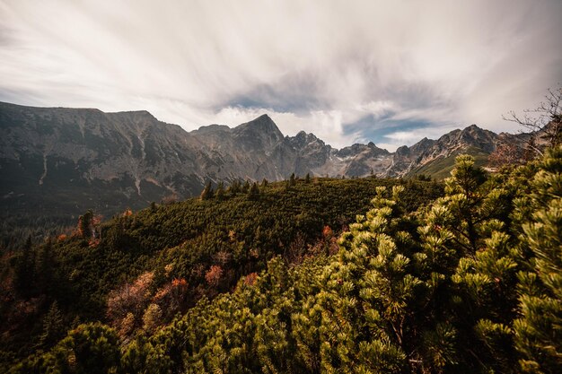 Escursioni nel parco nazionale Alti Tatra Escursioni a Zelene pleso nella montagna Vysoke Tatry Slovacchia Bellissimo