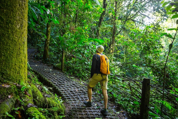 Escursioni nella verde giungla tropicale, Costa Rica, America Centrale