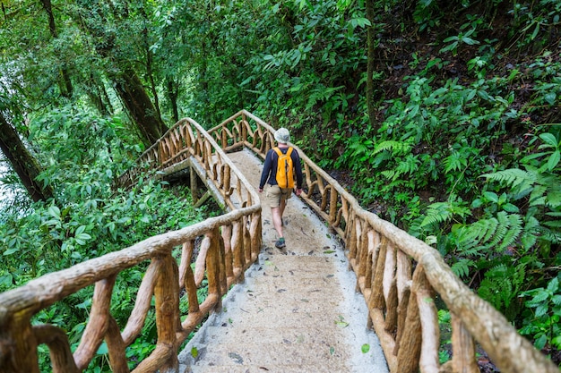 Escursioni nella verde giungla tropicale, Costa Rica, America Centrale