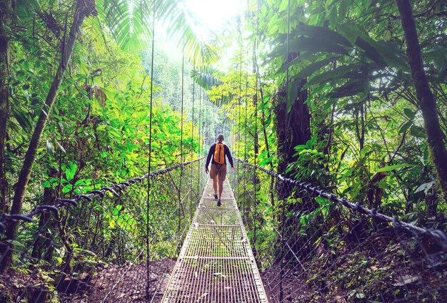 Escursioni nella verde giungla tropicale, Costa Rica, America Centrale