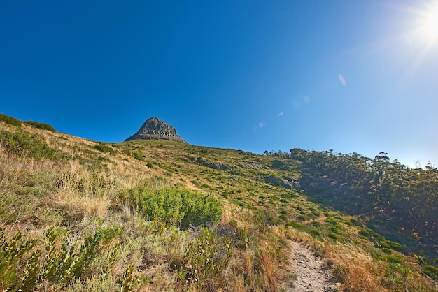 Escursioni sul sentiero sul Parco Nazionale di Table Mountain Città del Capo Sud Africa Luce solare che splende attraverso Kasteelspoort Sentiero escursionistico con erba verde lussureggiante e cespugli che crescono in una riserva naturale in estate