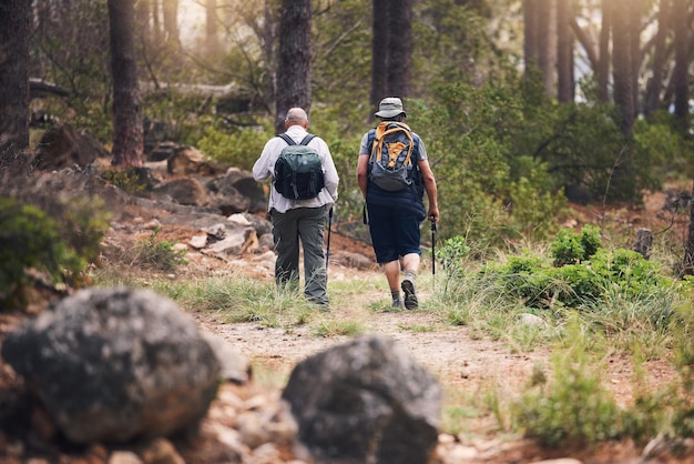 Escursionismo fitness e persone che camminano nella foresta per la libertà dell'avventura e sport sul sentiero di montagna Allenamento di viaggio e ritorno degli escursionisti per l'esercizio benessere trekking e allenamento cardio nella natura