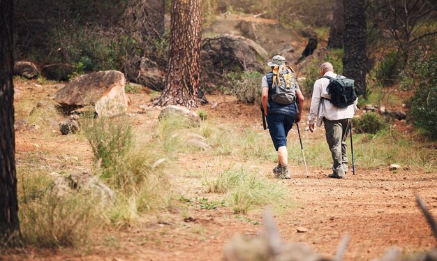 Escursionismo nella foresta e persone in avventura nella natura per esercizi di fitness e trekking con lo zaino Uomini anziani come amici insieme all'aperto per un'escursione per la libertà salute e benessere in pensione