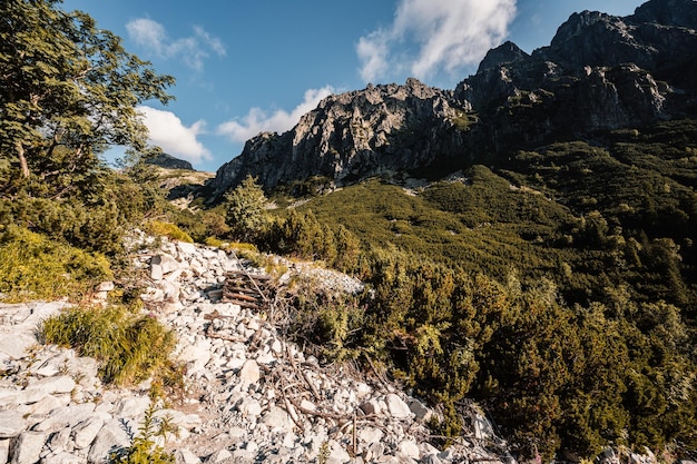 Escursionismo nella Great Cold Valley velka studena dolina al cottage Zbojnicka e al cottage teryho attraverso la sella priecne Parco nazionale degli Alti Tatra Slovacchia