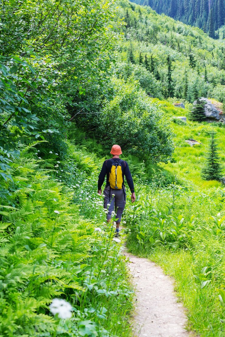 Escursionismo uomo in montagne canadesi. L'escursione è l'attività ricreativa popolare in Nord America. Ci sono molti sentieri pittoreschi.