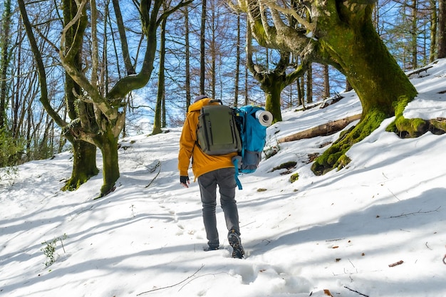 Escursionista con due zaini in un trekking sulla neve avventure invernali in un campeggio libero nella foresta di faggi