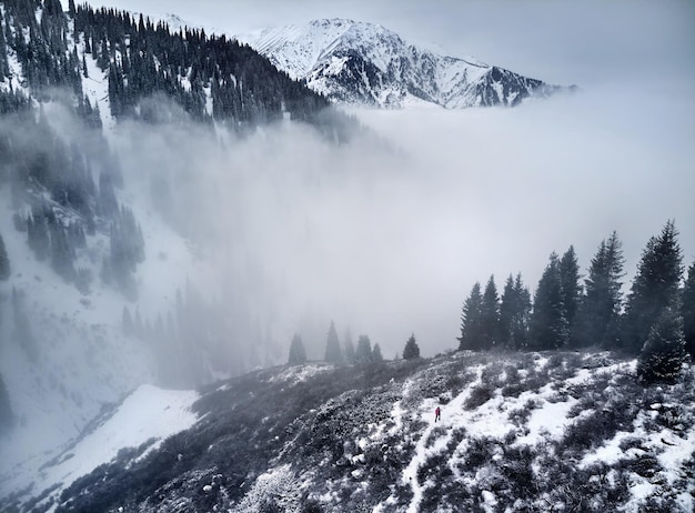 Escursionista nel paesaggio montano invernale