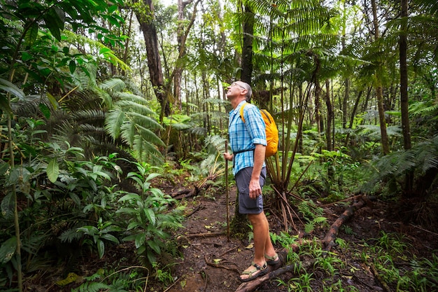 Escursionista sul sentiero nella giungla verde, Hawaii, Stati Uniti d'America