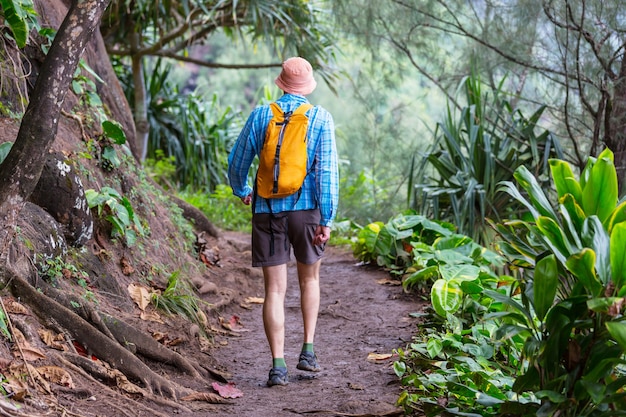 Escursionista sul sentiero nella giungla verde, Hawaii, USA