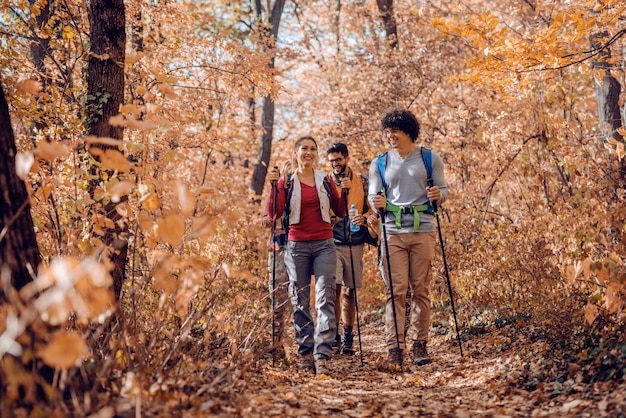 Escursionisti che esplorano la foresta.