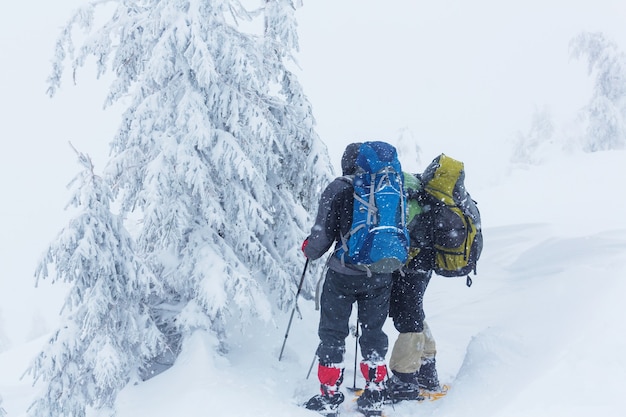 Escursionisti in montagna d'inverno