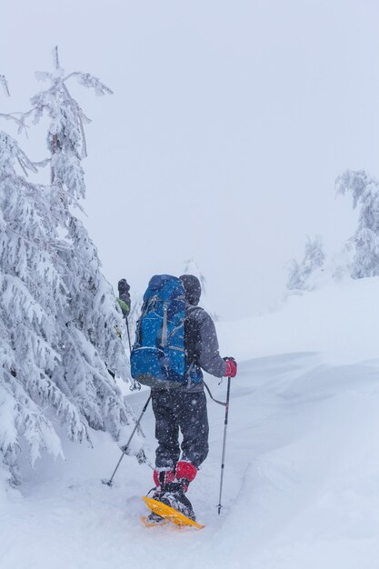 Escursionisti in montagna d'inverno