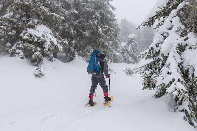 Escursionisti in montagna d'inverno