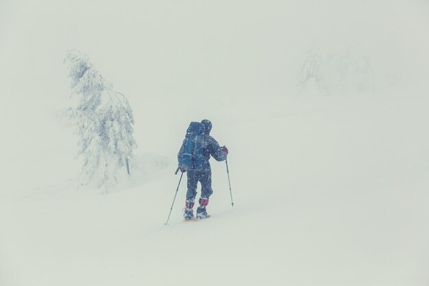 Escursionisti in montagna d'inverno