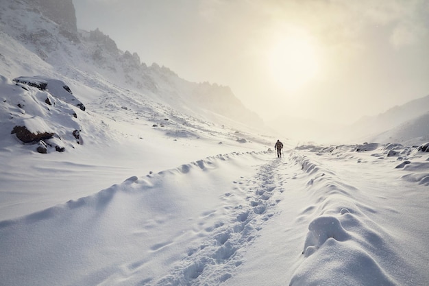 Escursionisti in montagna