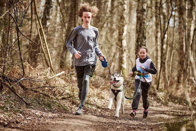 Esecuzione di un ragazzo e una ragazza con il cane da slitta Husky siberiano in imbracatura sulla strada forestale autunnale