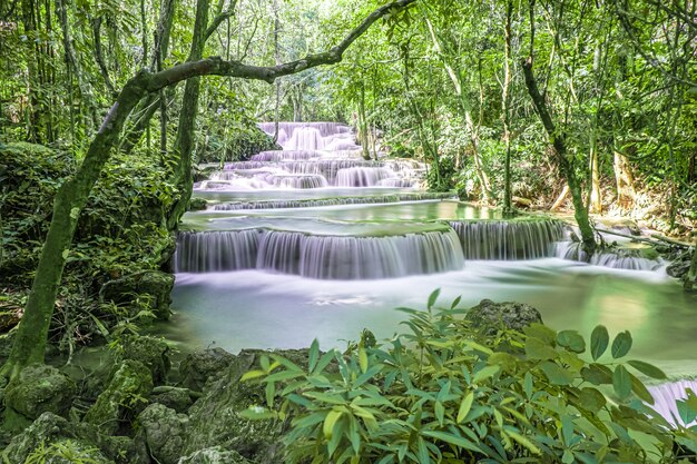 esotiche belle cascate tropicali profonde della foresta pluviale fresche cascate turchesi nella foresta profonda