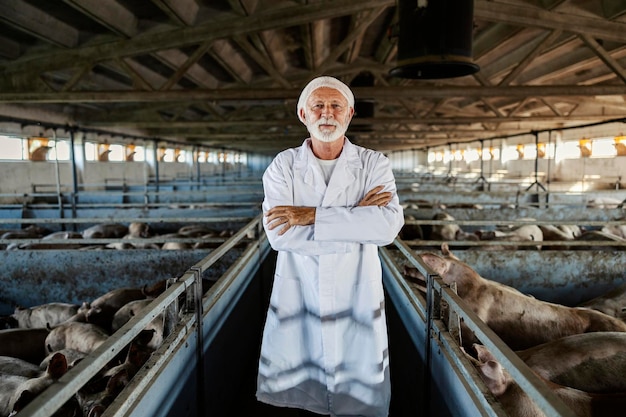 Esperienza in veterinaria e nell'allevamento di suini