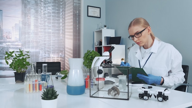 Esperimento sul criceto nel laboratorio moderno: scienziato osservando il comportamento degli animali e prendendo appunti