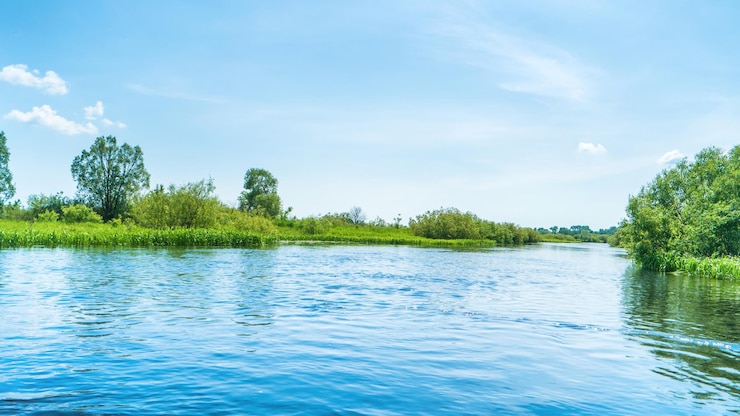 Foto esplorare la natura attraverso il trekking