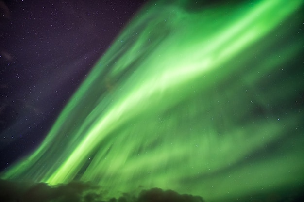 Esplosione di Aurora boreale (aurore boreali) con stelle sul cielo notturno nell&#39;Artico