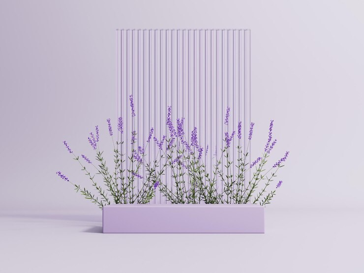 Espositore sul podio con fiori di lavanda su sfondo viola pastello Vetrina rendering 3d