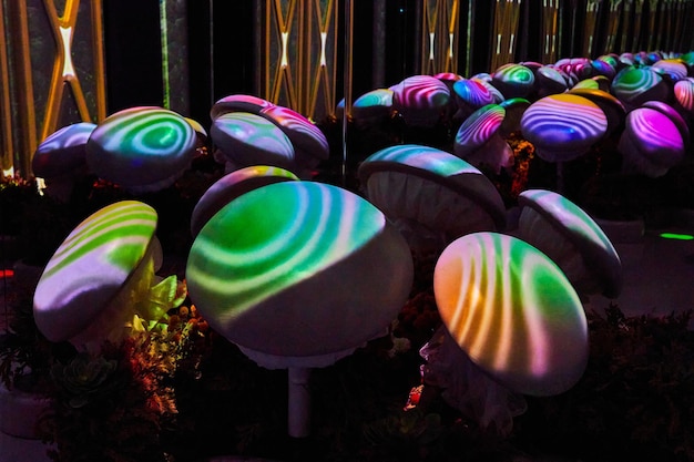 Esposizione di funghi al neon alla galleria d'arte