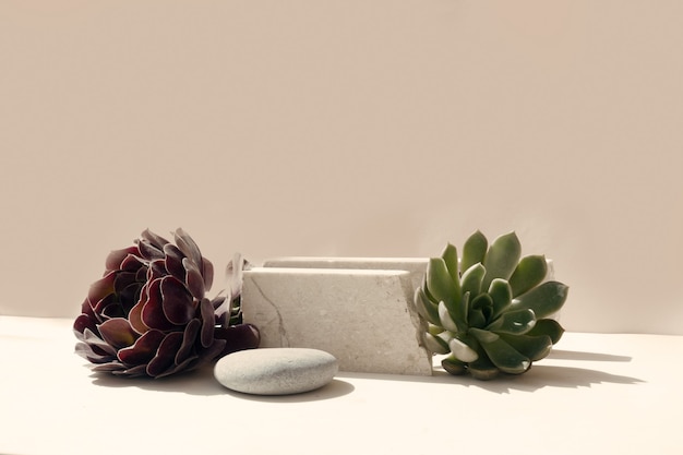 Esposizione di prodotti moderni e minimali su sfondo beige con podio con piante succulente fresche, tonica