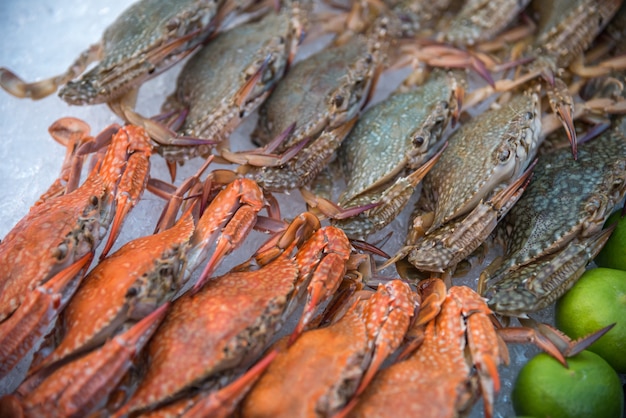 Esposizione di qualità premium del granchio fresco del fiore del mare (pelagicus di portunus) da vendere