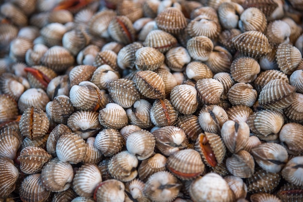 Esposizione di vongole crude fresche dei cardi di mare da vendere al mercato dei frutti di mare