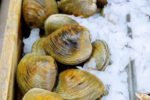 Esposizione fresca della cozza ghiacciata al mercato locale